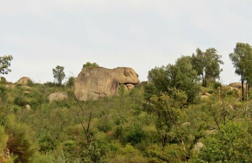 Casa do O - Alojamento Local - Foto 48