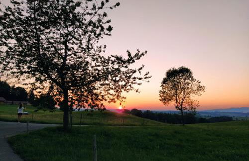 HAPPY PLACE Pusteblume - Foto 26