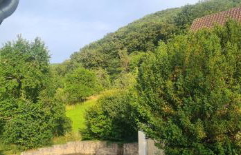 Apartment Am Tobelbach - Foto 3