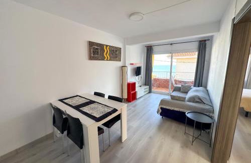 Apartamentos Capri-Playa - Foto 36