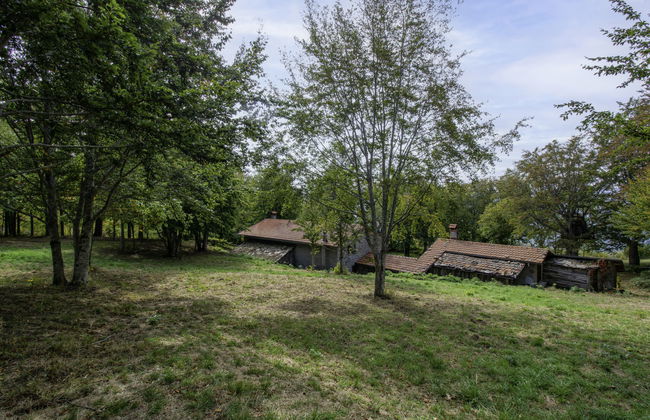 I 3 Faggi - Photo 53