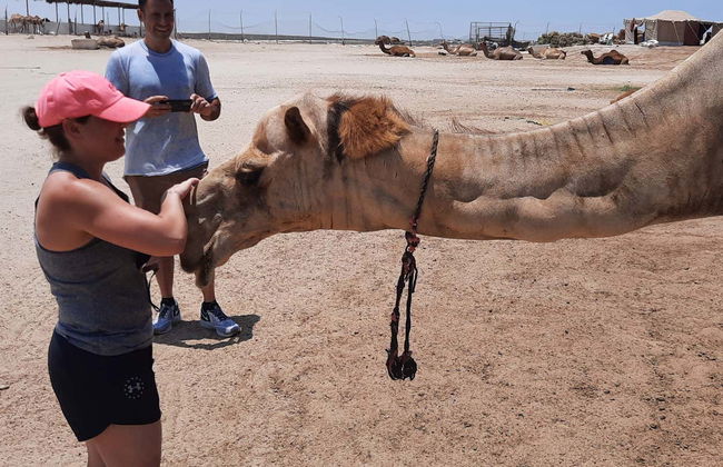 Escursione nel deserto del Sakhir - Foto 4