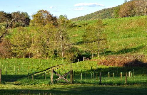 Walnut Run Farm - Foto 31