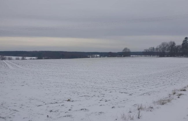 Nice Apartment in Allrode With Private Terrace - Photo 52