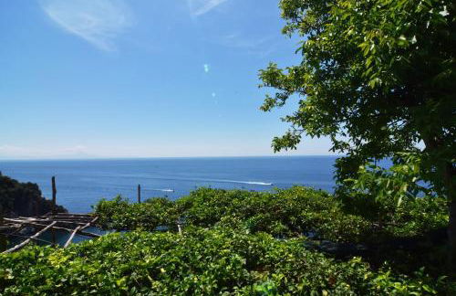 Bella Baia Glamping - Foto 60