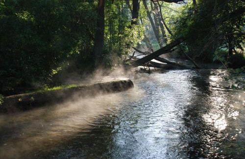 Natura Apartamenty - Foto 67