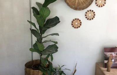 Marujada Experience Corisco Paraty - Foto 10