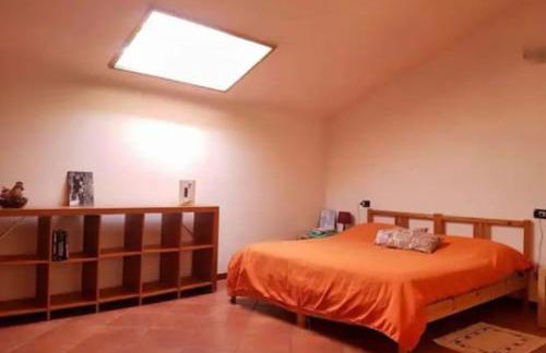 Shanti - Mare, Lago di Bolsena, Terme di Vulci - Foto 14