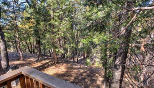 Forest Glen - Foto 5