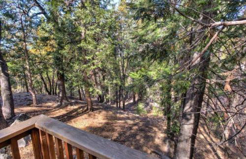 Forest Glen - Foto 5