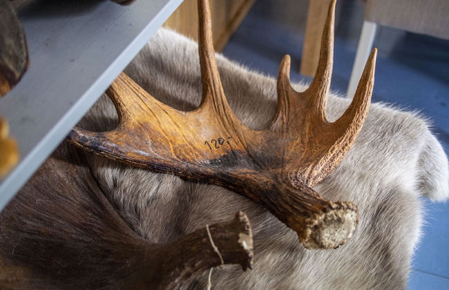 Hotel Katkavaara Aurora Apartments - Foto 49