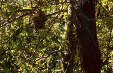 Bisas Villa - Foto 43