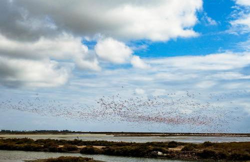 Nuevo apartamento en Sant Carles de la Ràpita - Foto 23