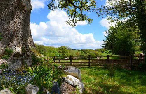 3 Bed in Launceston oc-oldoa - Photo 26