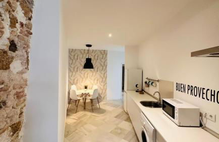 Apartamentos GADIR CENTRO - Foto 8