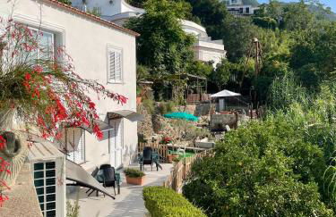 Villa Raffaela - Appartamenti Lacco Ameno - Foto 41