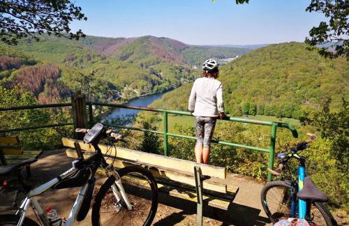 Schmahl Comfortable holiday residence - Foto 29