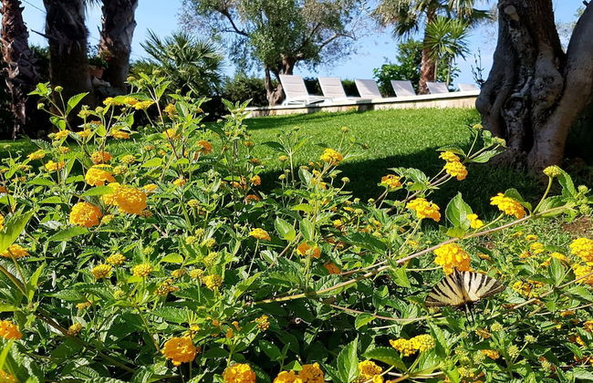 Villa Gina - Torre San Giovanni - Foto 18