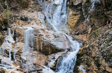 Ruhige Lage, Alpen & See Nähe - Foto 24