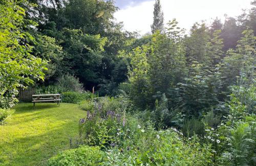 Luxury Cottage near Hay-on-Wye - Foto 9
