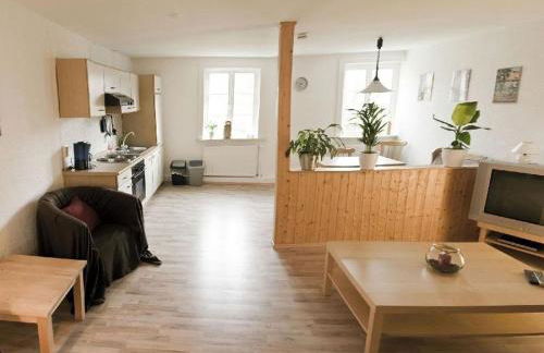 Muehlenhof-Soderstorf-Wohnung-A - Foto 4