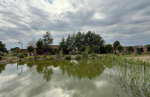 Agroturystka Jaśkowo - Foto 6