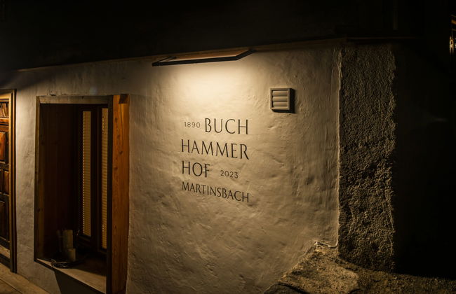 David am Buchhammerhof - Foto 48