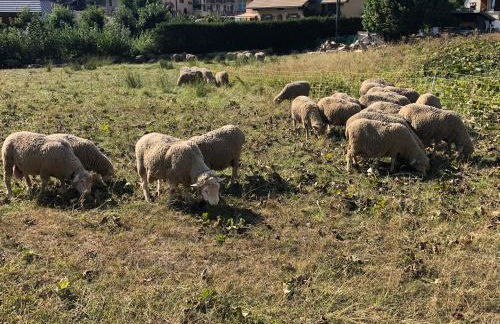 Duplex 6 à 8 couchages calme avec solarium plein Sud - Foto 55