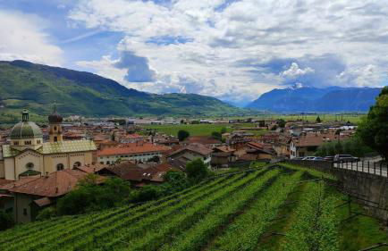 Dingherlo Loft - Photo 17