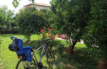 Aloe Apartment in Epidaurus - Photo 20