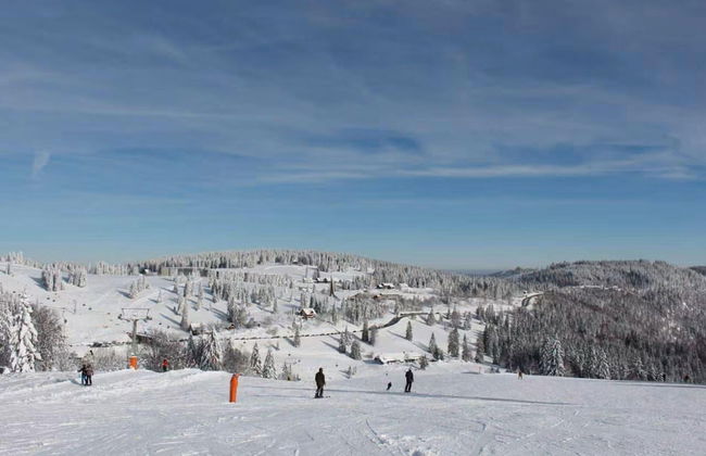 Forest Stay in Elbingerode - Foto 24