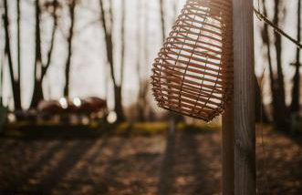 Bujanie w sitowiu - Foto 75