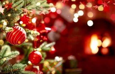 Romantic log-burner Cornish Cottage private garden dogs welcome - Photo 23