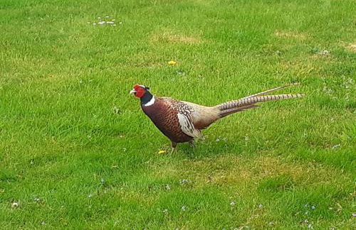 Gamekeepers Cottage - Hot Tub, 2 bed, sleeps 4, private patio, AC, stunning views - Photo 46