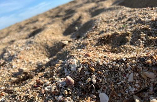 Casa Colimena - Foto 12