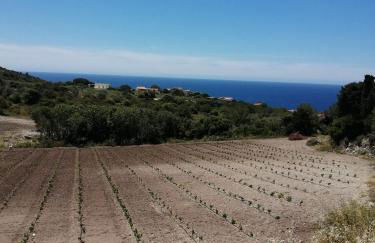 Monolocale Pisturri - Foto 18