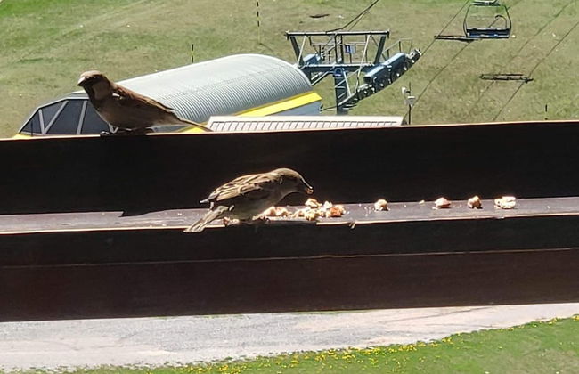 Superdevoluy545S - Photo 15