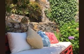 Cardenha do Douro - Photo 40