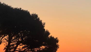 Selene houses - Foto 2