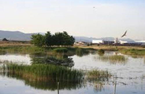 APARTAMENTO CERCA DE PLAYA Y MONTAÑA IDEAL FAMILIAS O RELAX - Photo 65