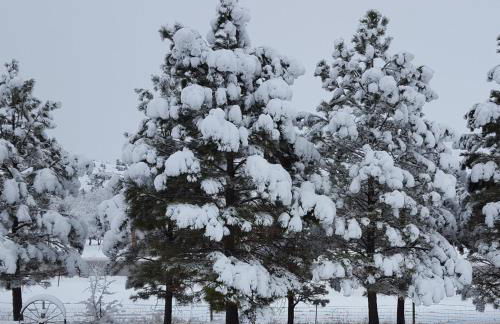 River Falls Lodging -Black Hills, South Dakota - Foto 9