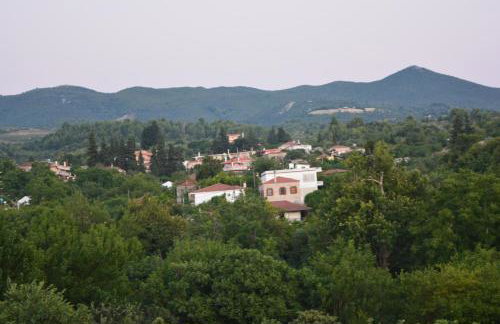 ELENI'S VILLAGE RELAXATION HOME - Photo 36