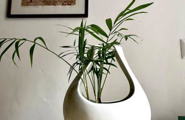 Il Girasole Storico - Foto 12