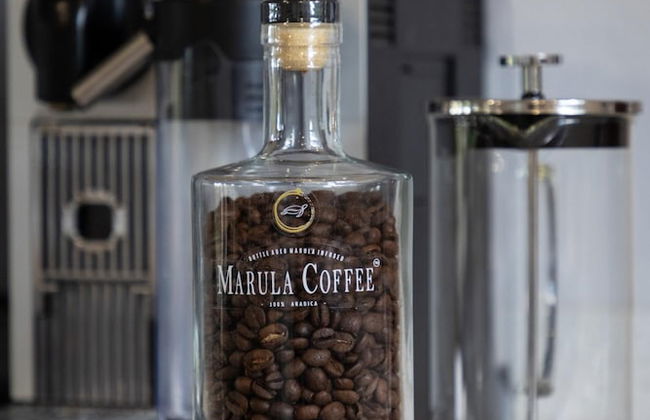 Villa Thornybush Light and Elegantly Designed Villa - Photo 7