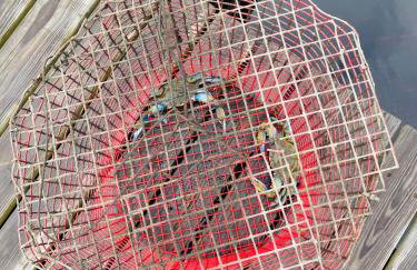 Navarre Bayhouse Retreat - Foto 7