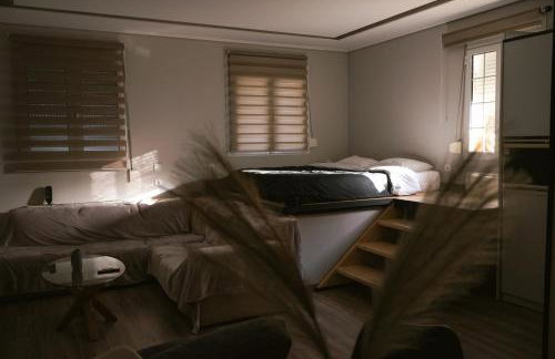 Εμμέλεια - Foto 7