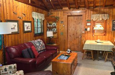 Lake Access! Twin Birch Resort - The Brown Bear - Foto 19