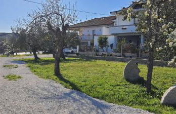 Casa Vacanze Cerreto 3 - Foto 31