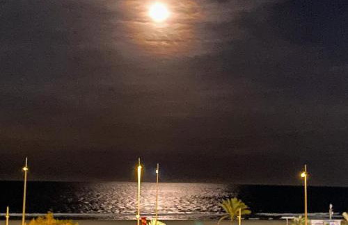 Gandia Tropicana Suite - Foto 14