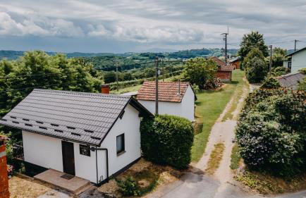 Dama s kamelijama - Foto 1